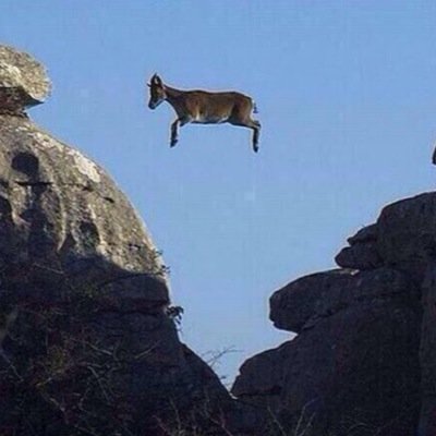 tweeting_that's profile picture. Nice boner bro