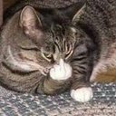 Daniel Treacy - @danieltrecya - Twitter