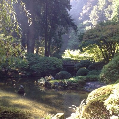 cdmichaud35's profile picture. Architect l Urbanist l Photographer l Environmentalist l Traveler l Mountain Biker