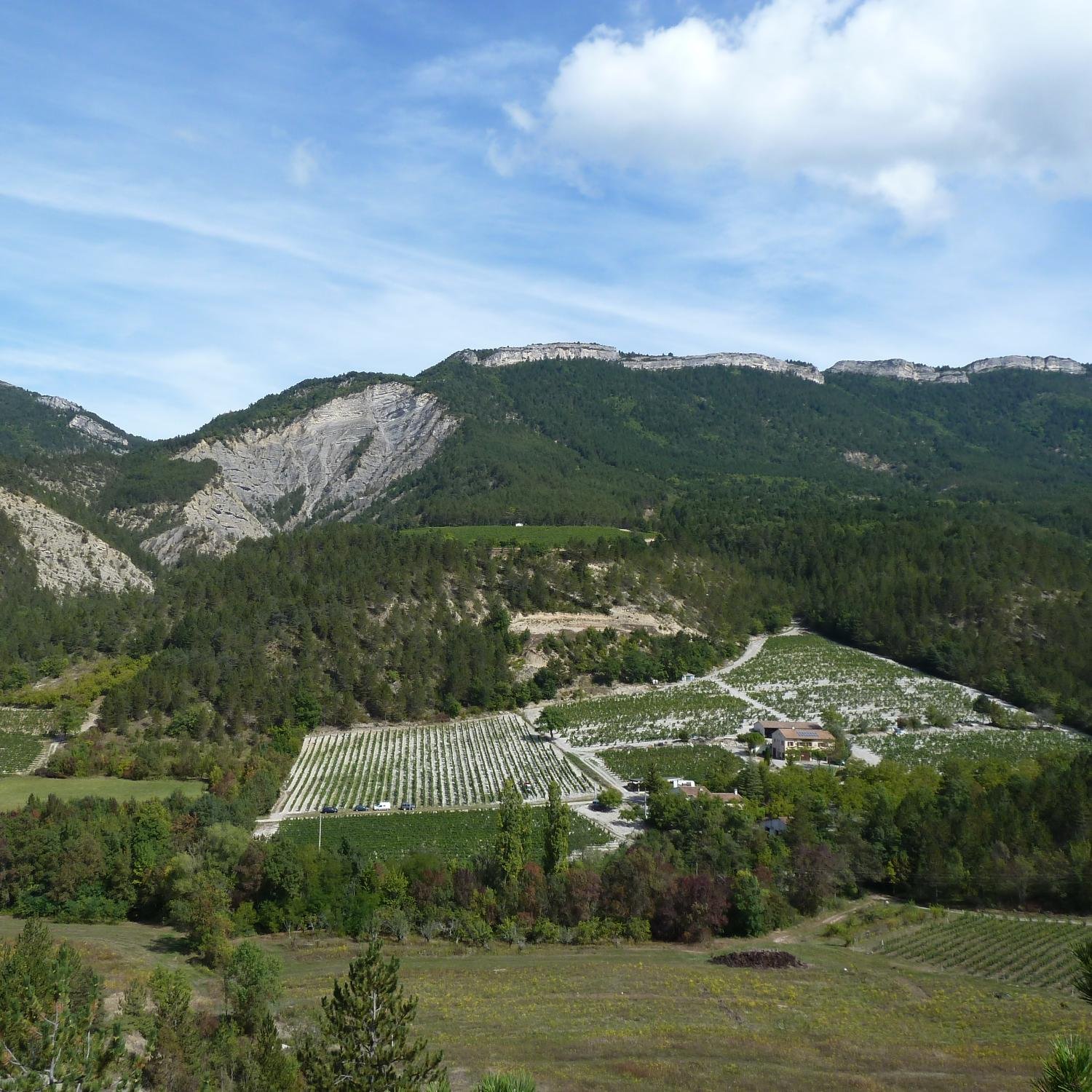 CaveLONGPierre's profile picture. Le domaine LONG est une exploitation familiale située à Barsac dans le département de la Drôme (26). Nous sommes vignerons en AOC Clairette de Die.