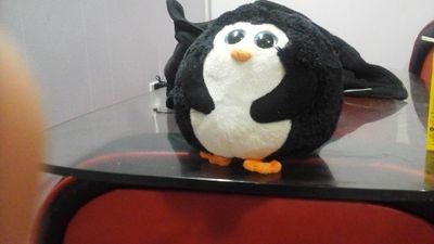 navneetrai2006's profile picture. 