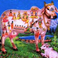 ME BUSINESS PROFESSIONAL HAVE BUSINESS IN HYD AND MORE INTO TANTRA SADHANA