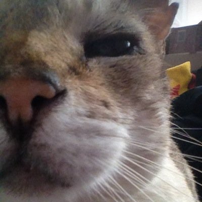 monkeymanjlo_DR's profile picture. Monkeymanjlo :)