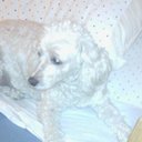 Robert Cope - @bob12461cope - Twitter