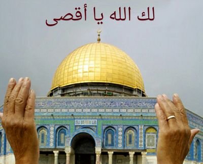 nnaannoo1122's profile picture. (يا أيها الإنسان ما غرك بربك الكريم)ماغرك بربك الكريم ما غرك بربك الكريم