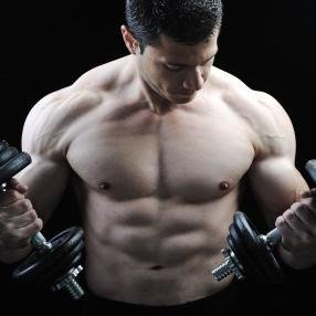 Here you have all the information, tips, and exercises you need to get the body you want.