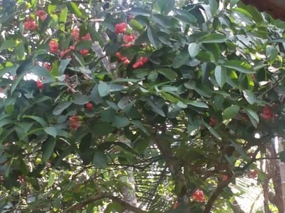 noufalozhukur's profile picture. 