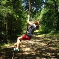 Hayley Legg (@hslegg) 's Twitter Profile