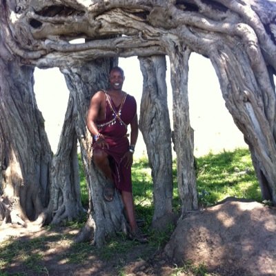freelance safari guide, chair man Il Ngwesi Company Limited. Board Member Lokusero Secondary School. Chair man Supari Nduat which is a community Based Org.