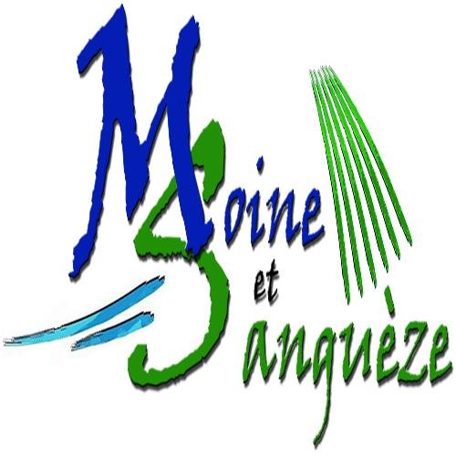 TrailVignes49's profile picture. Trail à travers nos vignobles et nos caves.  Nos parcours vous permettront de découvrir notre  terroir, nos rivières et de rencontrer nos viticulteurs.