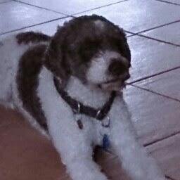 TimoViro1962's profile picture. 