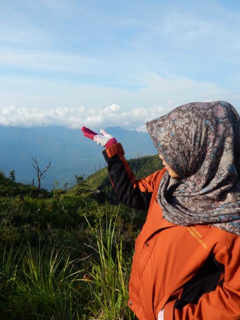 meii_triya's profile picture. 