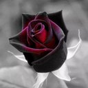 Maria Del Pilar Cano - @marypiliangela - Twitter