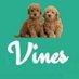 Profile Picture of Best Animal Vines™ (@AnimaIViness) on Twitter