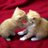 Hamida_Jalo's profile image