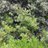 fede_fla's profile image