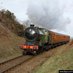 N. Norfolk Railway (@teady_) Twitter profile photo N. Norfolk Railway (@teady_) Twitter profile photo