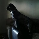 sheila diggs - @sheila_diggs - Twitter