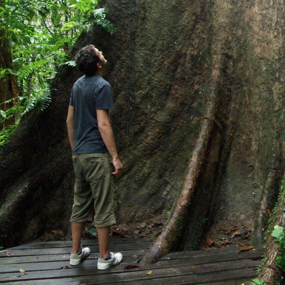 tom_mann's profile picture. Art Director