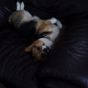 Vickie Downey - @MissaVickie - Twitter