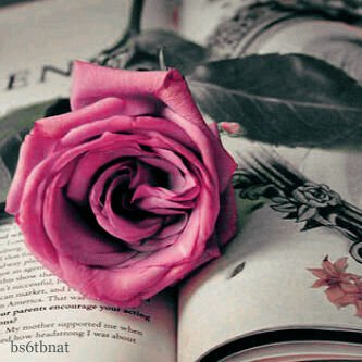 “♡ ♪ઇْْْْْْْْْْْْْْْْْْْْْْْْْْْْْْْْْْْْْْْْْْْاحياناً بَعض القُلوب تَرفُض البديل
حَتى لو عَاشت خَالية للأبد ♡

حٍسآبْيَ فَيَ آلُأنْستٌقرآم DDDER661