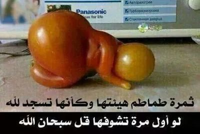 EssamElnmr's profile picture. 