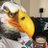 ferkdigga21's profile image
