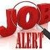 jobalertpunjab's profile picture. job alert punjab