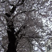 プレスプ (@presp73) 's Twitter Profile