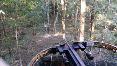 Lightning fan⚡️, gun enthusiast, coffee lover, and outdoor adventurer. Passionate about innovation, freedom, and the great outdoors. Always on the go!