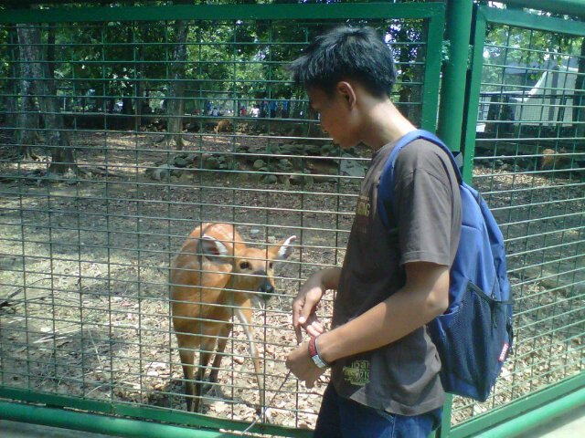 | This is my life , no one can judge me except my god :) | 320CB22D | 10031998 | pisces |