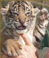 mattrevisited's profile picture. 