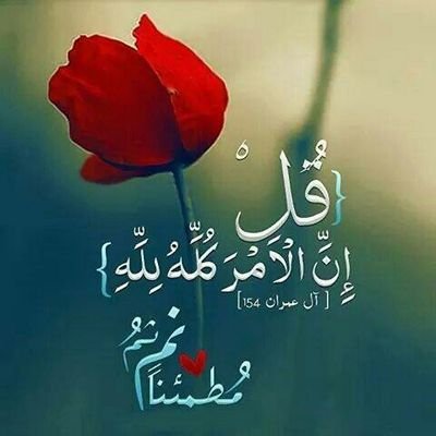 لاإله إلا الله