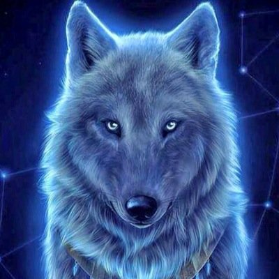 RobRobburrow03's profile picture. 