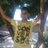 aqib_PWD's profile image