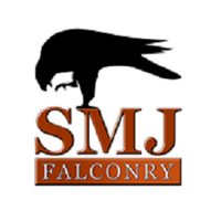 SMJ Falconry(@smjfalconry) 's Twitter Profile Photo