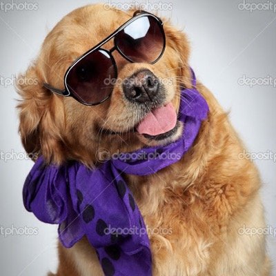 yeeee its ya boi