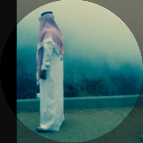 بعين النحل تعودت أن أبصر ... ولا أنظر للناس بعين ذباب ...