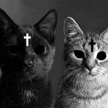 mazaafakaa's profile picture. https://t.co/H7jr1fc5l4