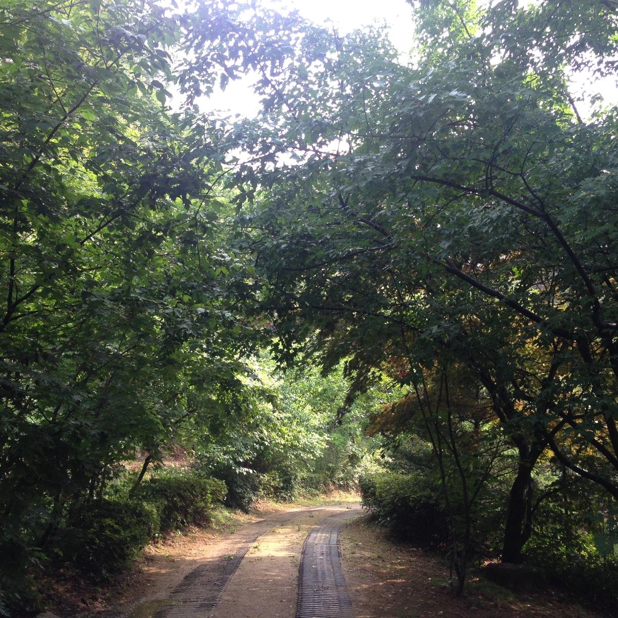 nontech2012's profile picture. 