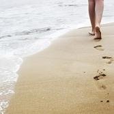 BraveFollower's profile picture. 