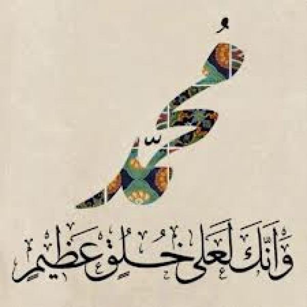 (قدواتى خديجه و عائشه)
وها أنا أهيم في ملكوت الله باحثة عن الحقيقة، -وأما الأخبار التي بأيدينا الآن إنما نتبع فيها غالب الظن، لا العلم المحقق-