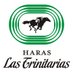 Las Trinitarias (@hlastrinitarias) Twitter profile photo Las Trinitarias (@hlastrinitarias) Twitter profile photo