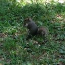 ICH*-* - @Leandra_love_u - Twitter