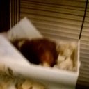 emma jane rea - @erea210 - Twitter