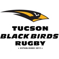 tucsonblackbirds (@tucsonblackbird) 's Twitter Profile