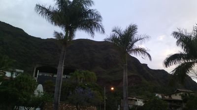 pastora