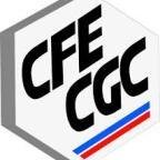 CFECGCUD31's profile picture. Licenciement, rupture conventionnelle de contrat de travail, maladie : Nous vous conseillons. #UnionDépartementale_Syndicat_CFECGC Haute-Garonne 05.62.27.92.03
