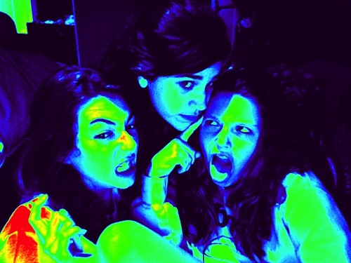 MALPAL's profile picture. 