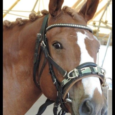 DeniseIngeman's profile picture. “Beautiful young people are accidents of nature, but beautiful old people are works of art. ” ― Eleanor Roosevelt